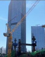 Cẩu tháp gật gù HSD5525-10T